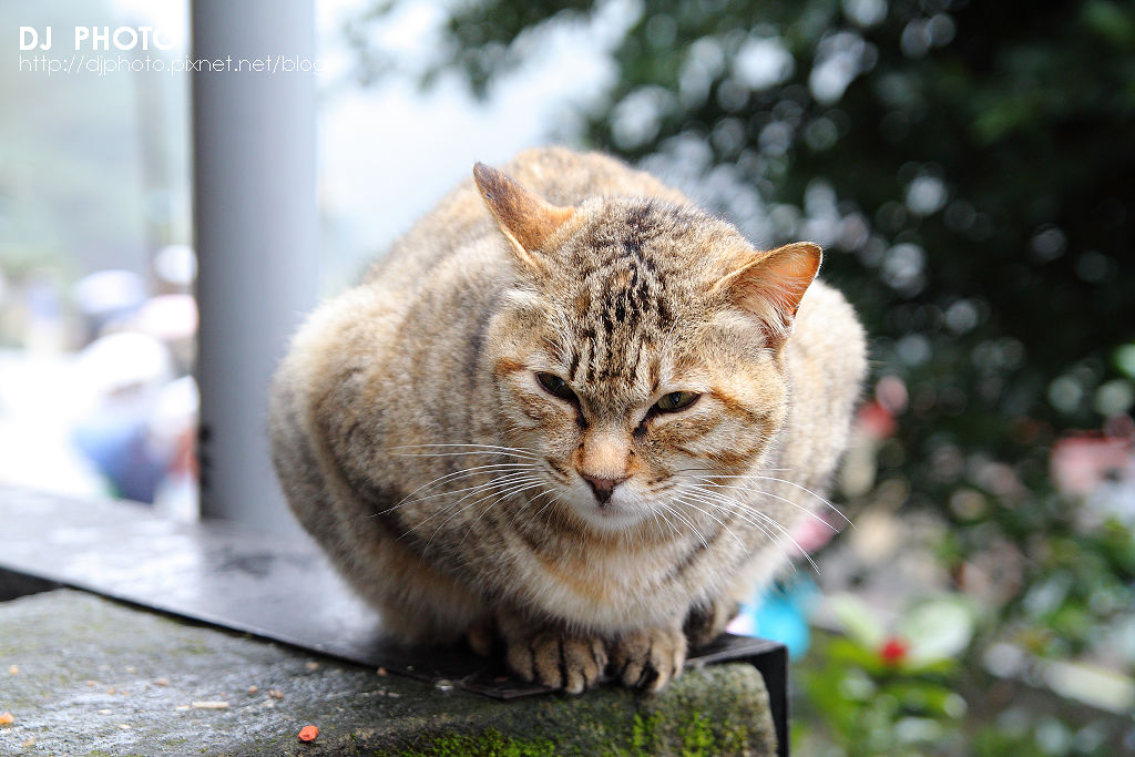 IMG_6555 IMG_6555