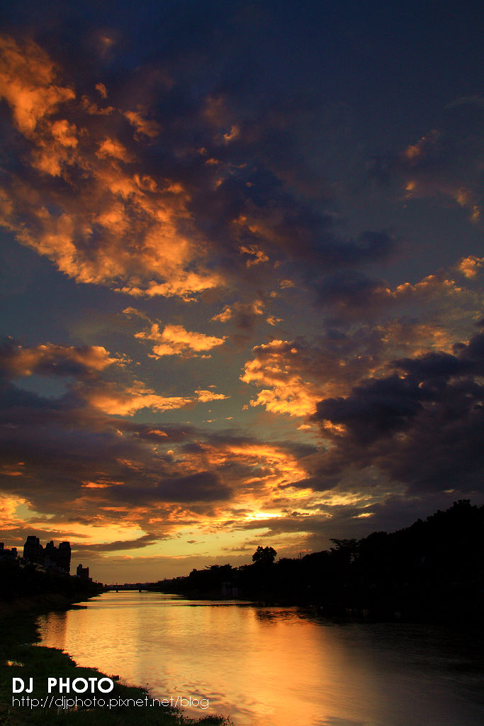 IMG_2480 IMG_2480