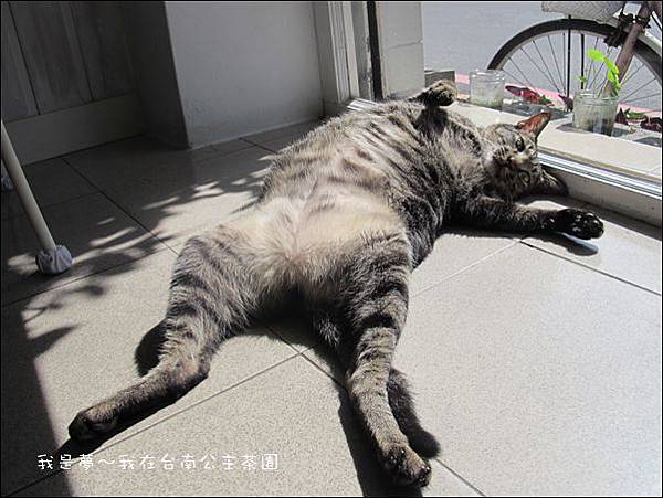 台南36.JPG 台南36.JPG