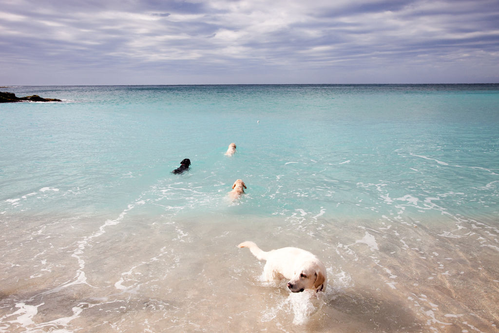 IMG_9949.jpg IMG_9949.jpg