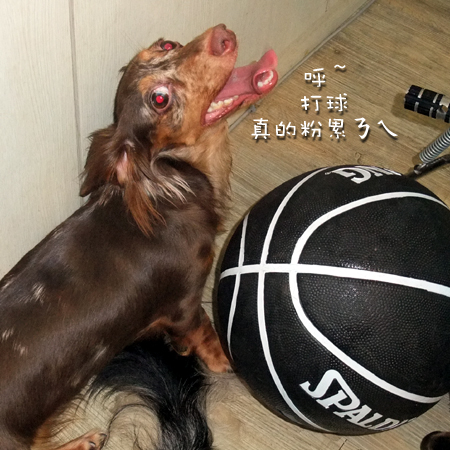 DSCF0489.jpg DSCF0489.jpg