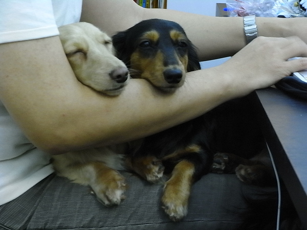 RIMG0006.JPG RIMG0006.JPG