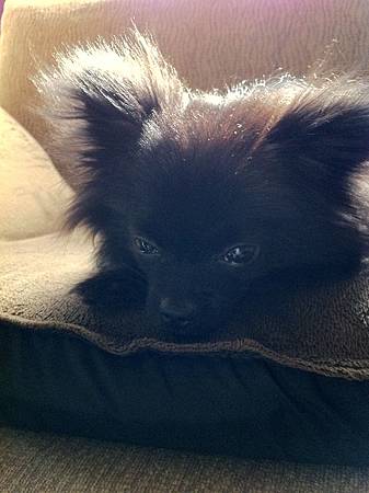 照片 030 照片 030