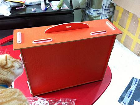 照片 873 照片 873