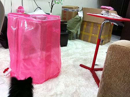 照片 877 照片 877