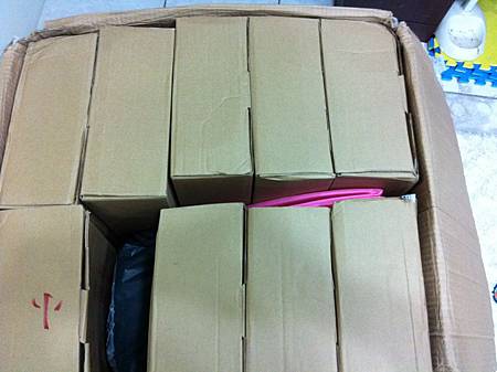 照片 866 照片 866