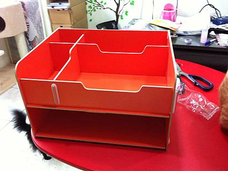 照片 875 照片 875