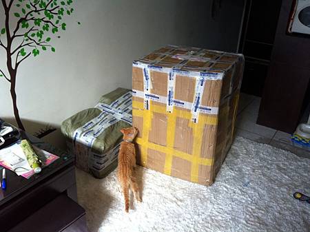 照片 865 照片 865