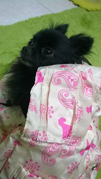 WP_20140123_23_32_05_Pro WP_20140123_23_32_05_Pro