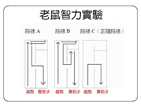 投影片3