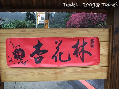 20090206 006.jpg 20090206 006.jpg