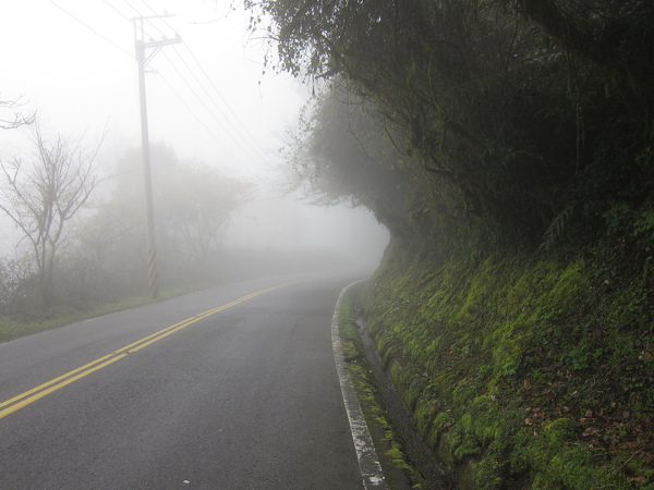 DPP_0494.JPG DPP_0494.JPG