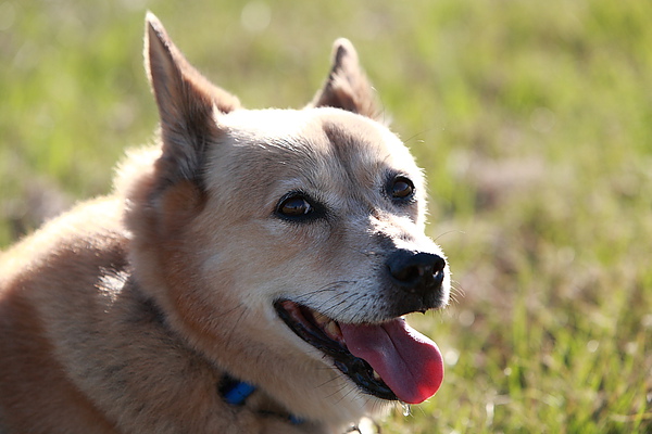 DPP_0001.JPG DPP_0001.JPG