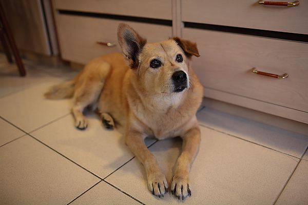 DPP_0003.JPG DPP_0003.JPG