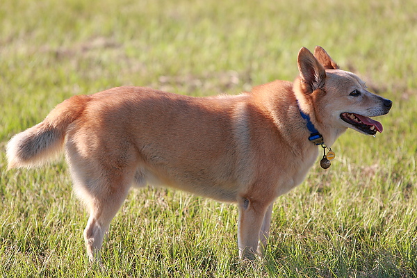 DPP_0002.JPG DPP_0002.JPG