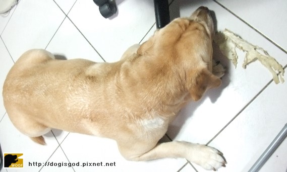 20100227-adorlee.jpg 20100227-adorlee.jpg