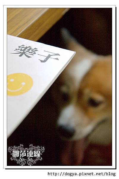 IMG_8382 IMG_8382