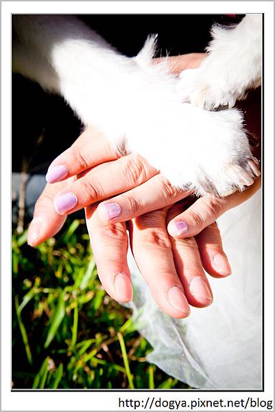 nEO_IMG_Kyle&Dogya&Nana&Sasa (38 - 126)