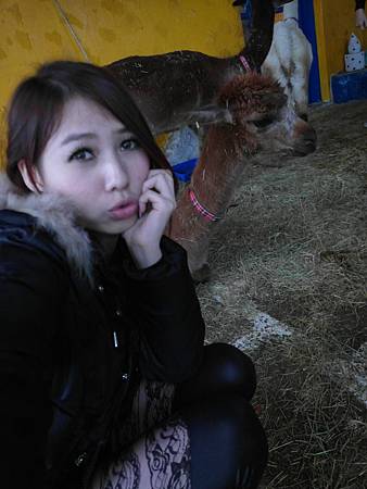 SAM_3148 SAM_3148