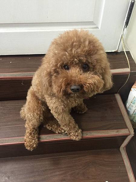 S__3301636 S__3301636