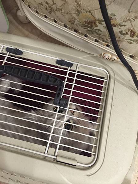 S__1982635 S__1982635