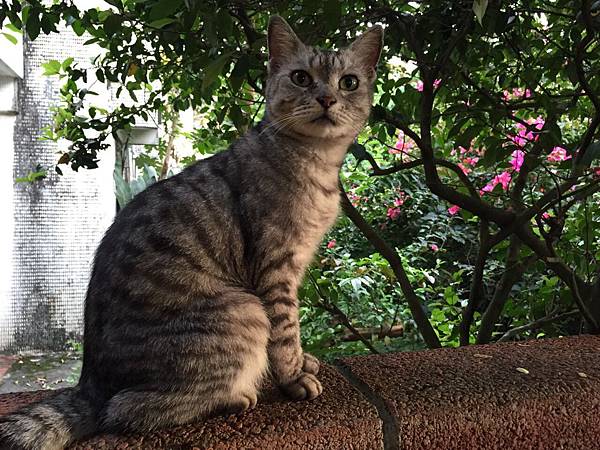 2499335663096 2499335663096