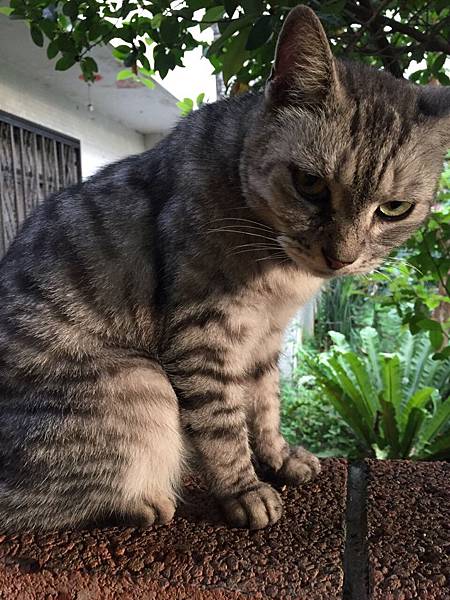 S__2146406 S__2146406