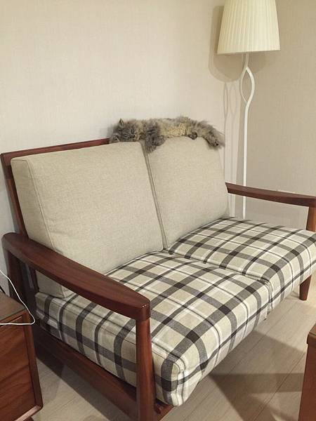 S__2154502 S__2154502