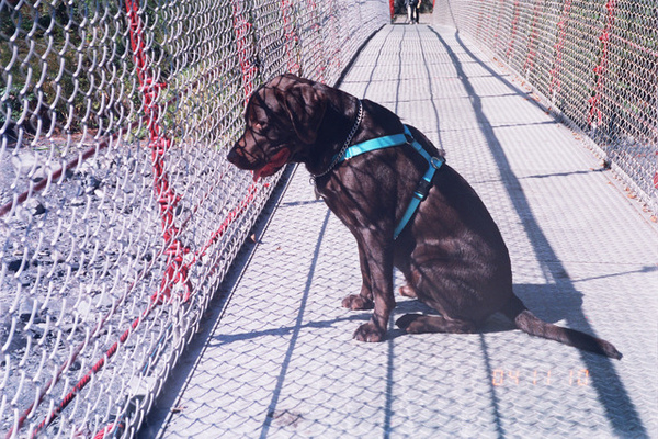 奧萬大一日遊 奧萬大一日遊