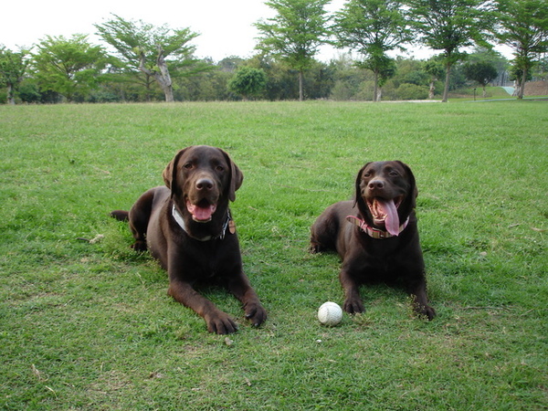 08/04/06'-彰師大 08/04/06'-彰師大
