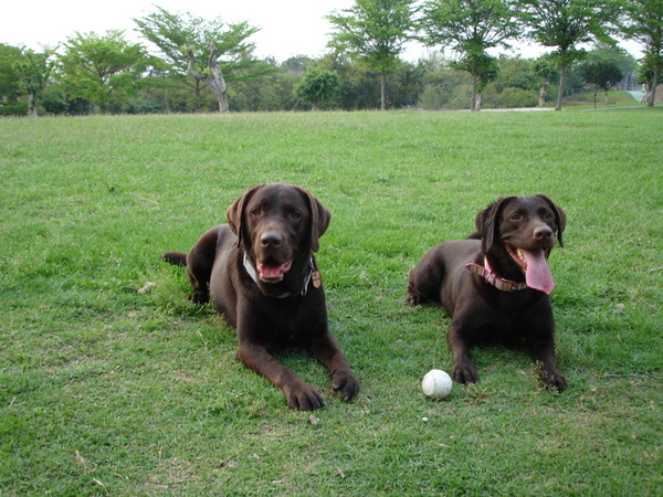 08/04/06'-彰師大 08/04/06'-彰師大