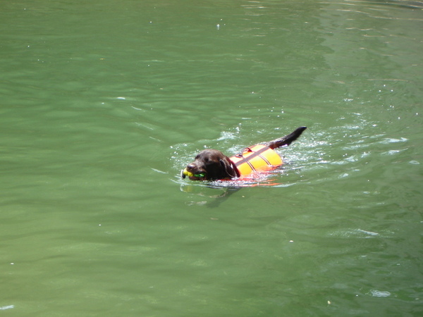 09/04/06'-苗栗 09/04/06'-苗栗