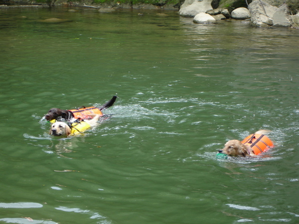 09/04/06'-苗栗 09/04/06'-苗栗