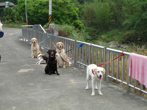 09/04/06'-苗栗 09/04/06'-苗栗