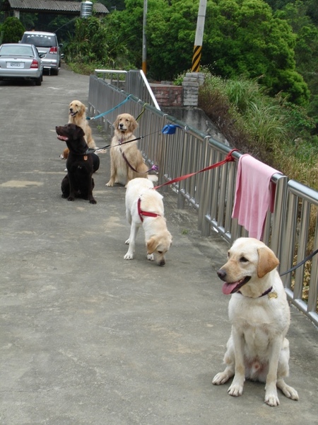 09/04/06'-苗栗 09/04/06'-苗栗