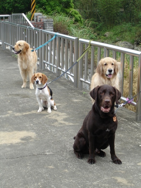 09/04/06'-苗栗 09/04/06'-苗栗