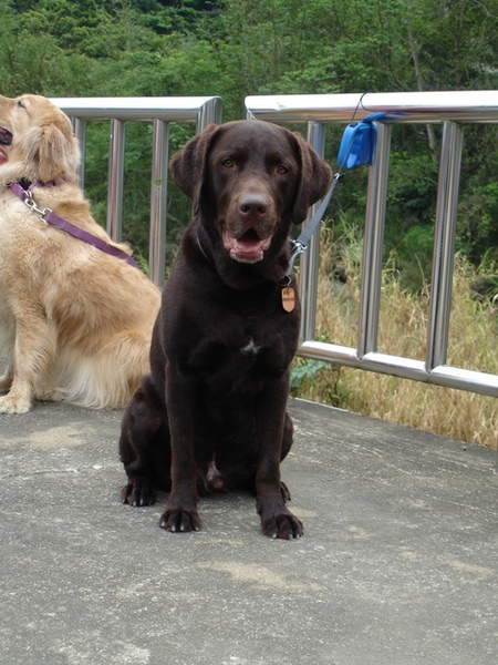 09/04/06'-苗栗 09/04/06'-苗栗