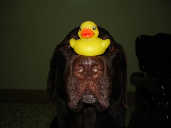 12/03/06' 頂上功夫 12/03/06' 頂上功夫