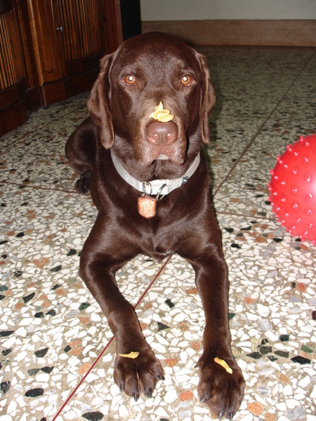 26/03/06' 頂上功夫 26/03/06' 頂上功夫