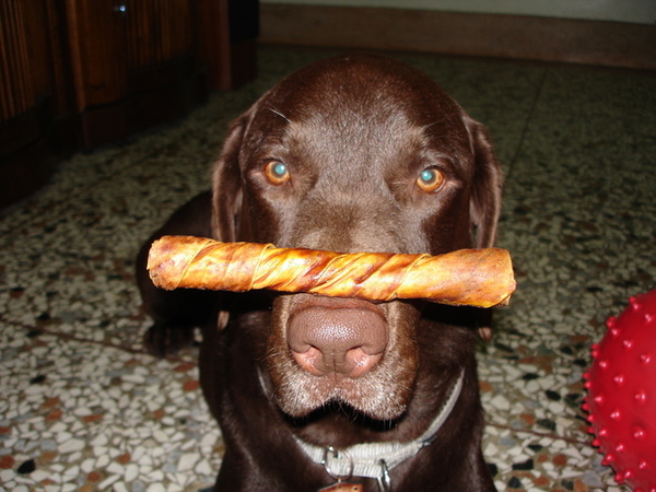 26/03/06' 頂上功夫 26/03/06' 頂上功夫