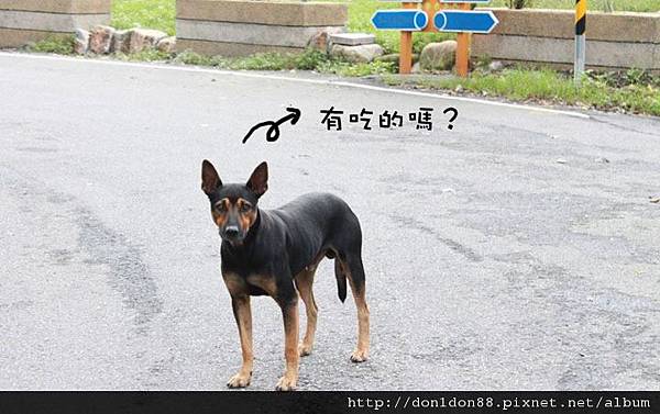 濃濃「鄉」愁的坪林 (7).jpg 濃濃「鄉」愁的坪林 (7).jpg