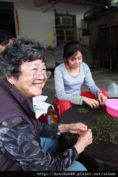 濃濃「鄉」愁的坪林 (9).jpg 濃濃「鄉」愁的坪林 (9).jpg