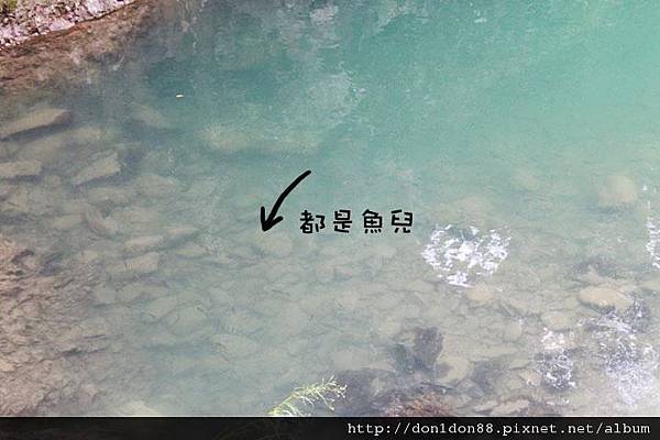 濃濃「鄉」愁的坪林 (19).jpg 濃濃「鄉」愁的坪林 (19).jpg
