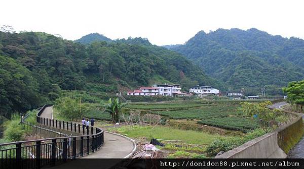 濃濃「鄉」愁的坪林 (41).jpg 濃濃「鄉」愁的坪林 (41).jpg
