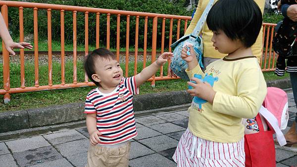 pic73 pic73