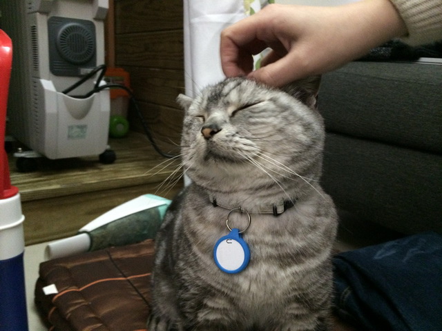 手機,鑰匙,寵物全現身tinyFinder 藍牙追蹤器 手機,鑰匙,寵物全現身tinyFinder 藍牙追蹤器