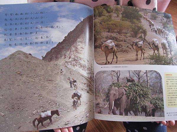 IMG_6367.jpg IMG_6367.jpg