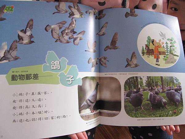 IMG_6366.jpg IMG_6366.jpg