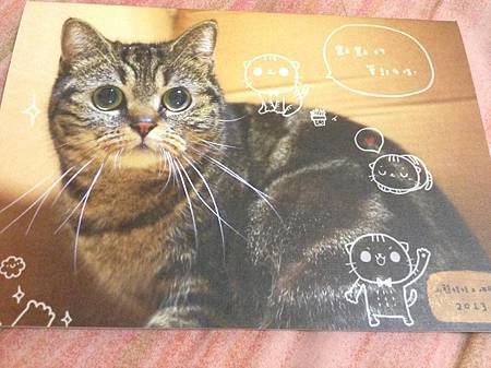 1185848_4757293790585_98321151_n 1185848_4757293790585_98321151_n