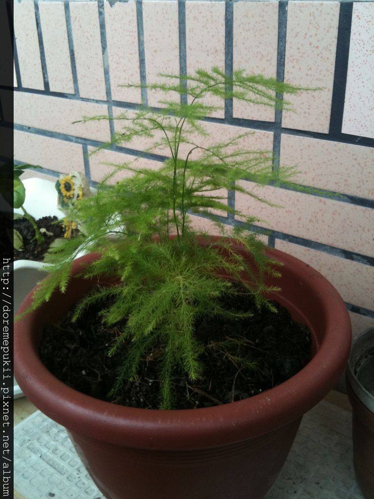 IMG_0660.JPG IMG_0660.JPG